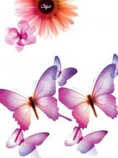 VipQua.Mobi