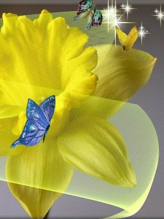 VipQua.Mobi