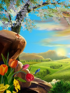 VipQua.Mobi