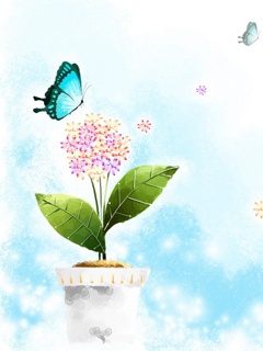 VipQua.Mobi
