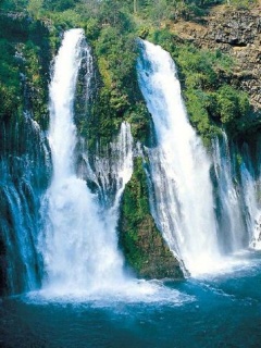 VipQua.Mobi