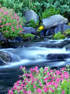 VipQua.Mobi