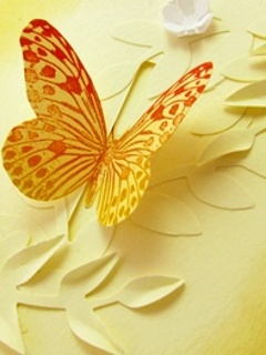 VipQua.Mobi