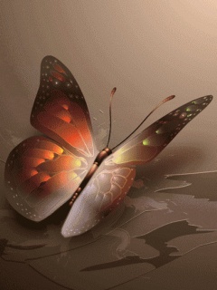 VipQua.Mobi