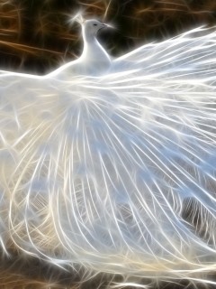VipQua.Mobi