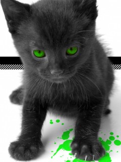 VipQua.Mobi