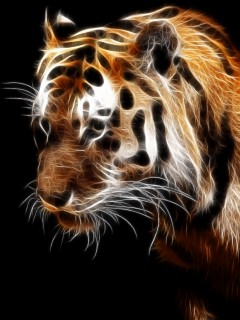 VipQua.Mobi