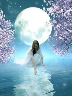 VipQua.Mobi