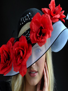 VipQua.Mobi