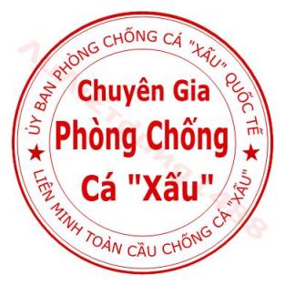 VipQua.Mobi