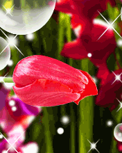 VipQua.Mobi