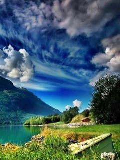 VipQua.Mobi