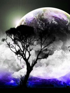 VipQua.Mobi