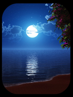 VipQua.Mobi