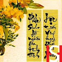 VipQua.Mobi