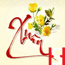 VipQua.Mobi