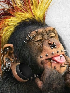 VipQua.Mobi