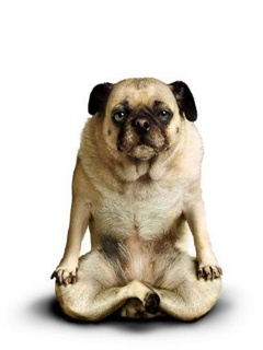 VipQua.Mobi