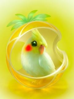VipQua.Mobi