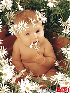 VipQua.Mobi