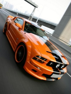 VipQua.Mobi