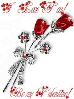 VipQua.Mobi