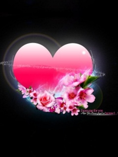 VipQua.Mobi