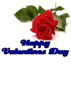 VipQua.Mobi