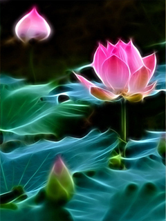 VipQua.Mobi