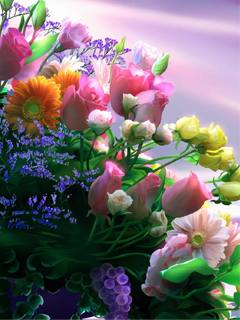 VipQua.Mobi
